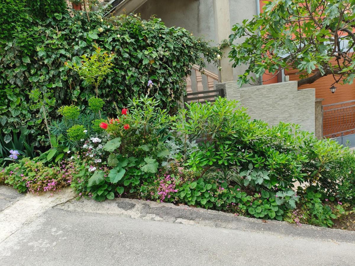 Studio Apartman Rea Kotor Luaran gambar